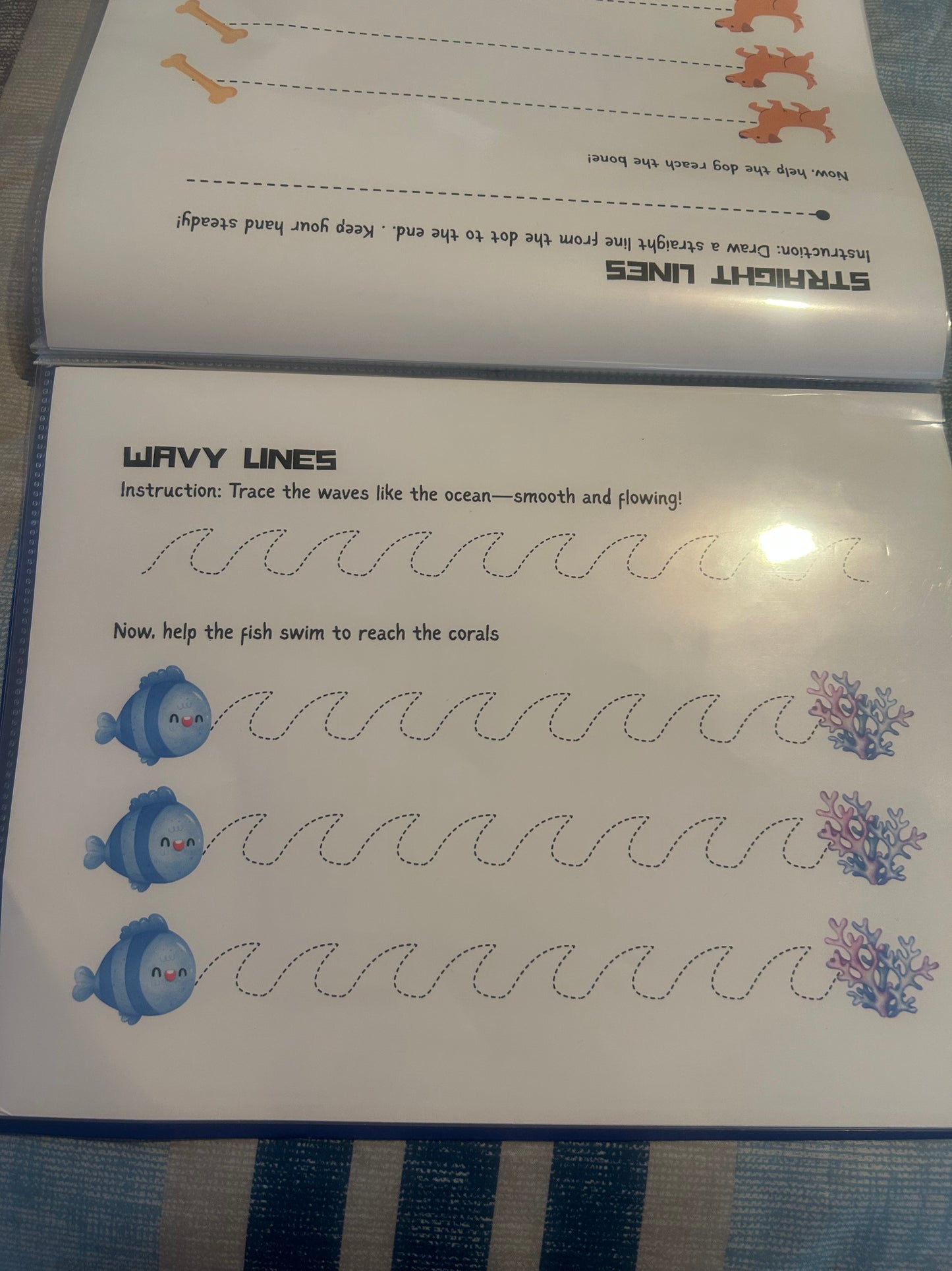 Let Trace Folder